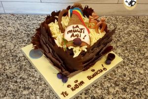 Torturi Sclipiri de poveste 001