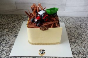 Torturi Sclipiri de poveste 067 Torturi Sclipiri de poveste 067