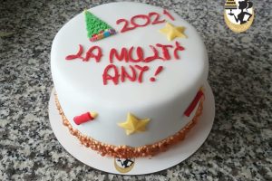 Torturi Sclipiri de poveste 080 Torturi Sclipiri de poveste 080