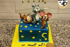 Torturi Sclipiri de poveste 385 Torturi Sclipiri de poveste 385